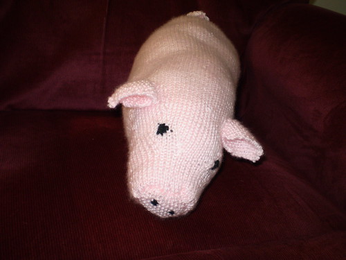 Pig #3