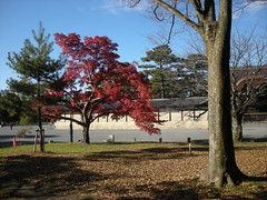 Kyoto Gosho Imperial Palace