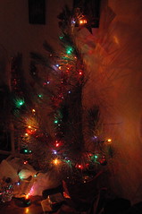 Christmas Tree-1 (by Louis Rossouw)