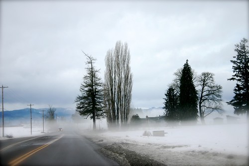Cold Oregon Winter Beauty