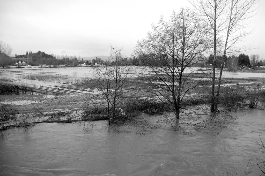 WA Flood 2009