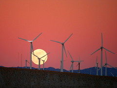 Moon Rise behind the San Gorgonio Pass Wind Farm
