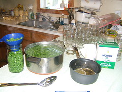 Canning beans
