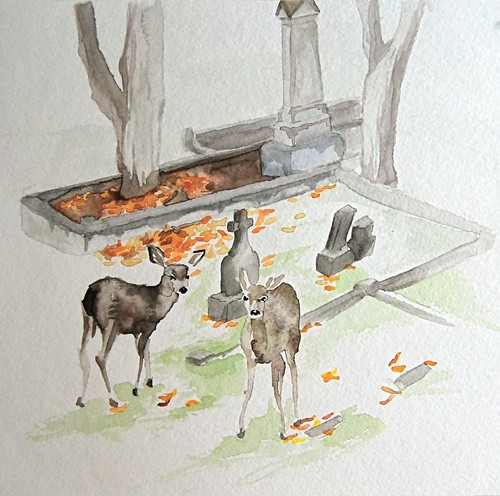 Deer Illustration (Finished)