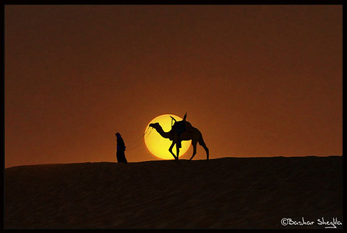 BenTaher [ Off ]님이 촬영한 Tuareg & Camel, Libya !.
