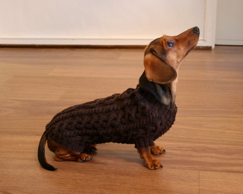 Hertta posing in her new sweater