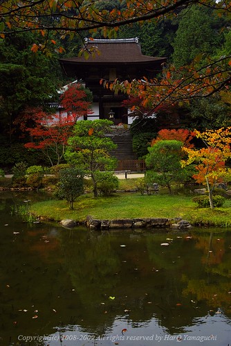 A garden of Ensho-Ji Temple, autumn