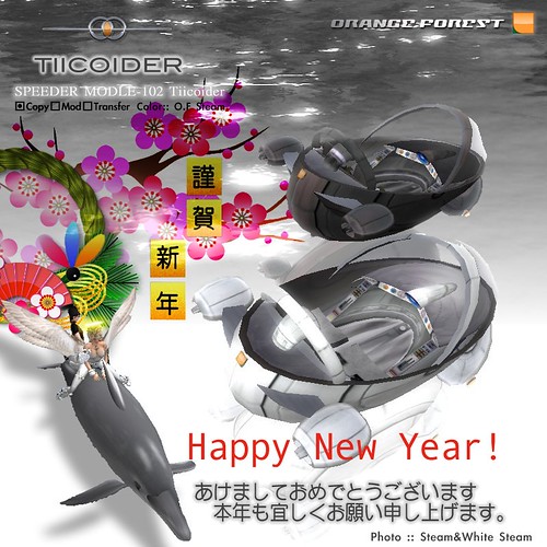 Happy New Year!/ Tiicoider&Dolphin