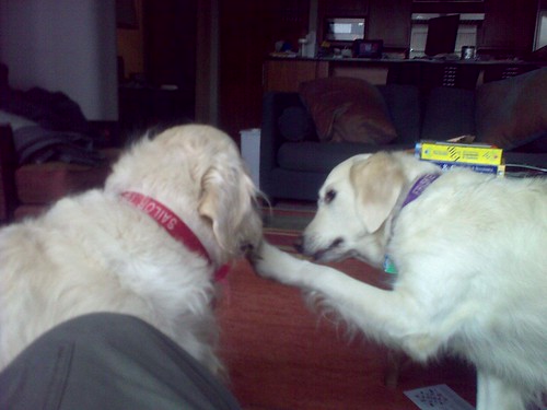 Frisket and Sailor negotiate the recycling of a paper tube