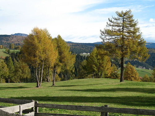 Blick durch die Lärchenwälder in Richtung Sarntal direkt unterhalb des Kirchleins Langfenn