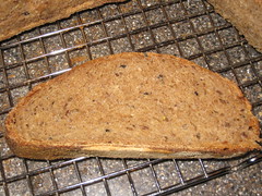 slice of seeded whole wheat sourdough