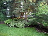 Our Yard - Mid-June 2008