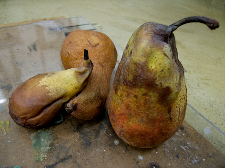 rotting pears