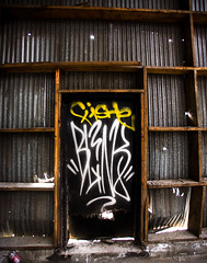 Seattle graffiti. Photo by Philo Nordlund.