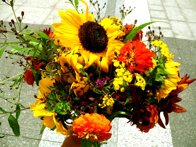 Flowers form Fountain Square Market
