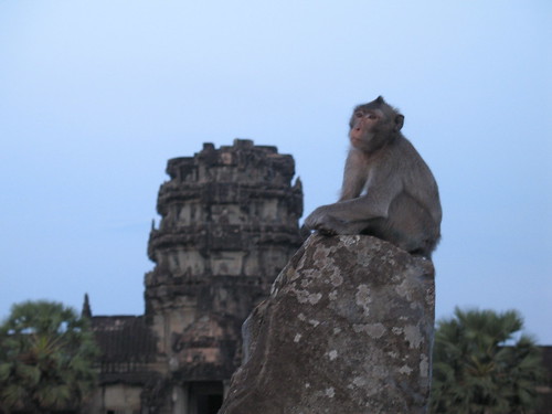 Lord Monkey of Angkor (and the weight on his shoulders)