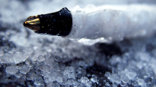 Frozen Pen:  January 28, 2009