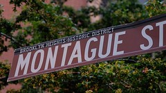 Montague Street "street sign" showing its location in the historic district