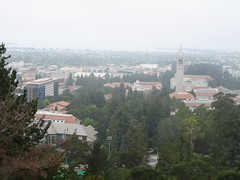 View of Berkeley and the Bay