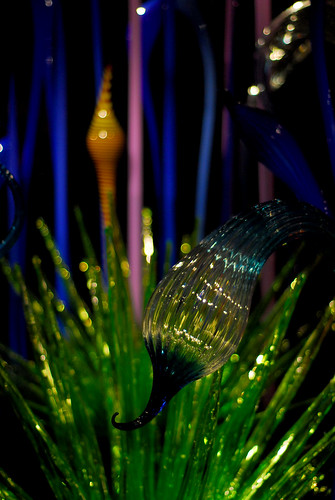 chihuly 01