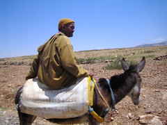 Another Man on a Donkey