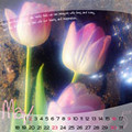 may2-2-copy by you.