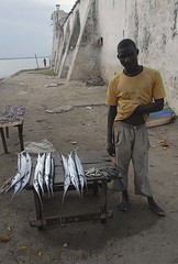 Fishmonger, Ilha do Mocambique
