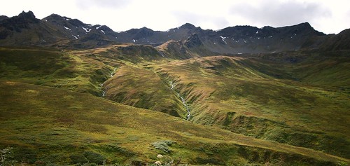 Alaskan Valley