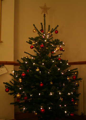 Christmas tree 08