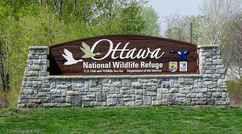 Ottawa National Wildlife Refuge, Ohio-1