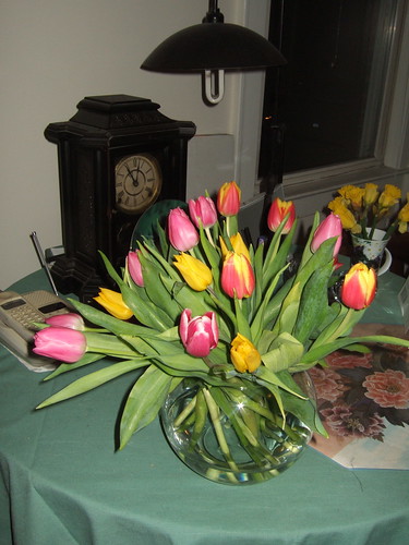 Tulips for Mom Kat