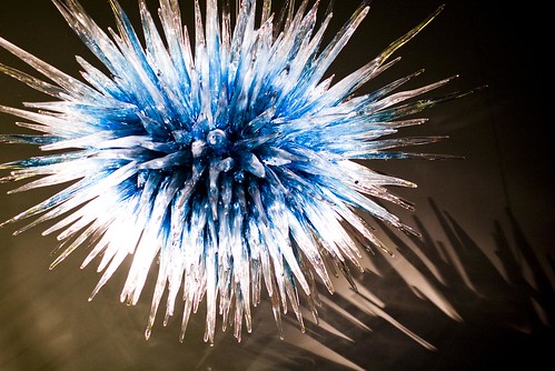 Chihuly_81