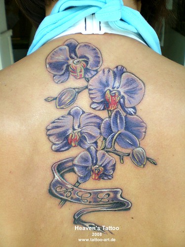  orchid which she photographed before in her own home wwwtattooartde