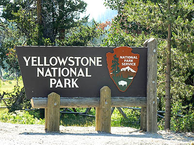 Yellowstone National Park .jpg