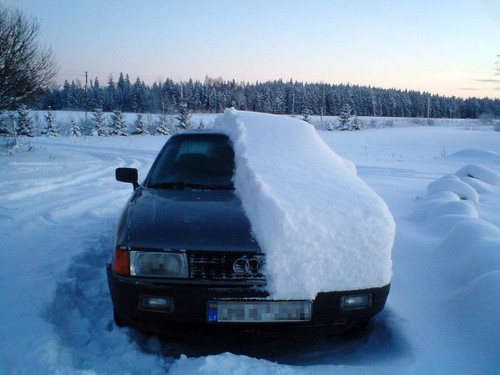 Audi sniegas