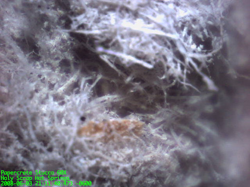 fibres under microscope. microscope.