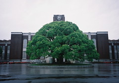 Kyoto University - 1