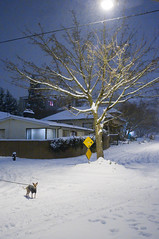 snow night-9 by joshc