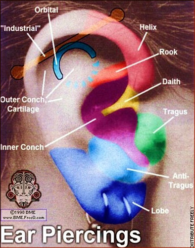 ear piercing diagram
