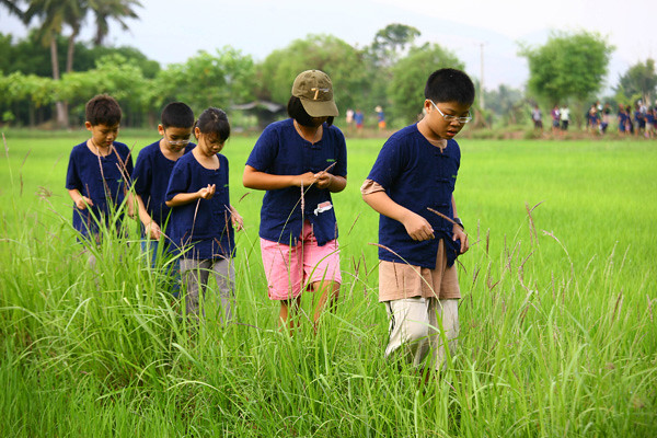 เตรียมฟื้นฟูอาชีพ เกษตรไทย