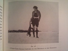 A Giant Land Iguana Captured by the Historian of the Expedition