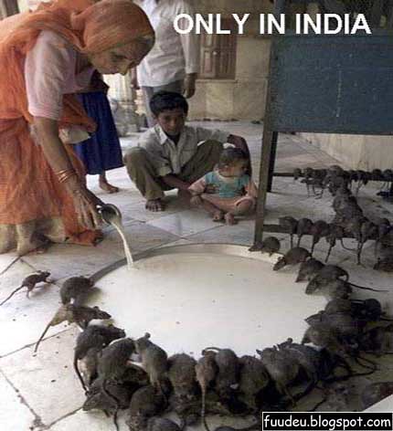 Vida na india