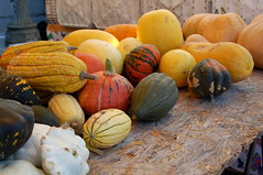 Signs of fall at the farmers' market