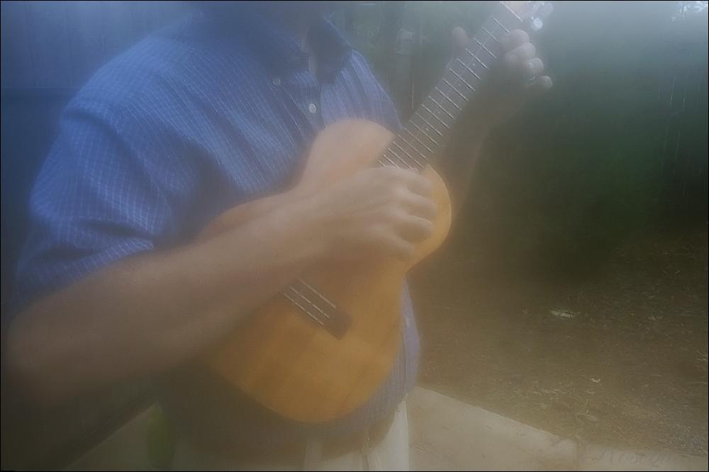 ukulele ©2008 RosebudPenfold