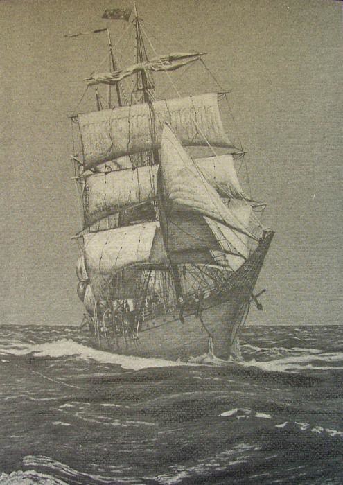high-seas-dan-hausel