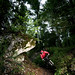 Freeride in the forest von raoulteflouze