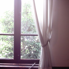 【写真】ミニデジで撮影した小出邸の窓