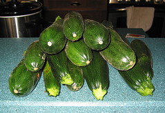13 zucchini