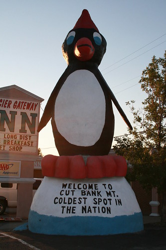 World's Largest Penguin