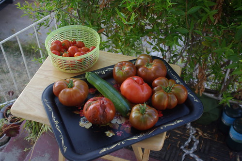 Garden Harvest, 8/29/08